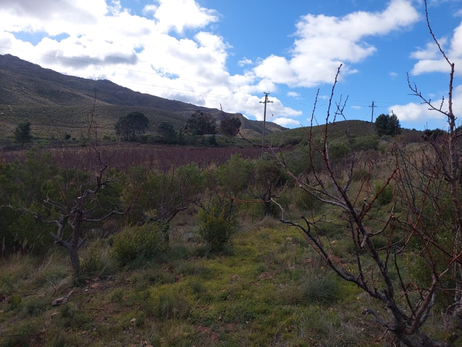 7 Bedroom Property for Sale in Ladismith Rural Western Cape